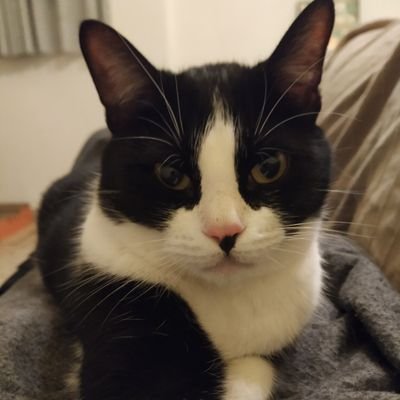 77ricardet's profile picture. 