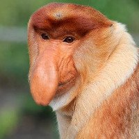 maciej_nowicki's profile picture.