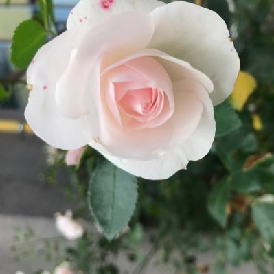 Gly41882251's profile picture. 