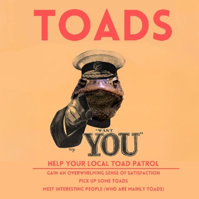 We are a brand new toad patrol (est. 2024) saving toads, newts and frogs in Thetford Forest. Looking for volunteers!