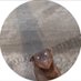 МАСТИЛО (@maslo_usa) Twitter profile photo МАСТИЛО (@maslo_usa) Twitter profile photo