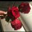 uroosh3981's profile image