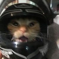 챱챱 (@idchapchap) 's Twitter Profile