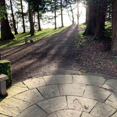 JoshuaMalkin12's profile picture. "The only wealth is Life". Be the way to lead the way. Sharks are not Dolphins.