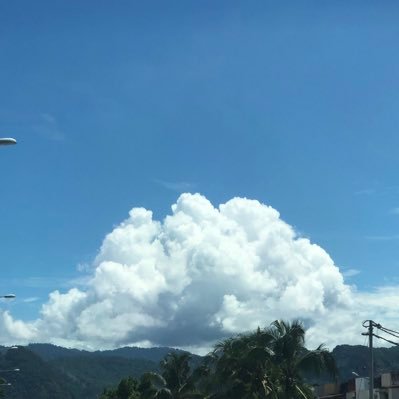 cuadiary's profile picture. 