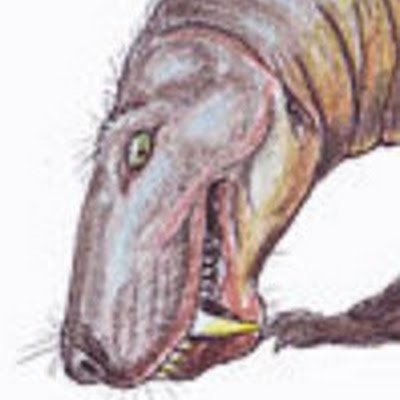 Hi! I like to draw dinosaurs and other prehistoric life.