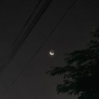 tongkosongm's profile picture. 