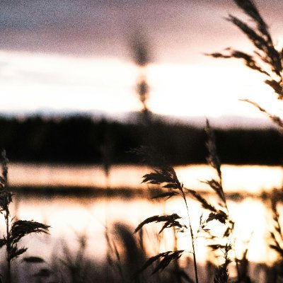 19_arezki52756's profile picture. 