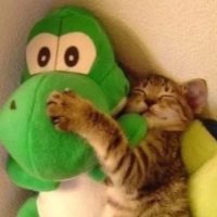 c.c. (@chasepchssbu) 's Twitter Profile