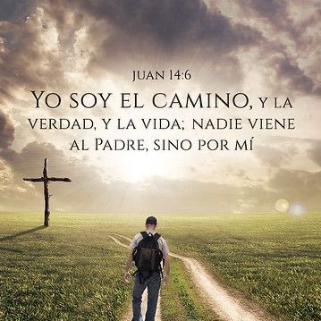 thethepilot's profile picture. 