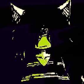{ ^xel. }さんのプロフィール画像