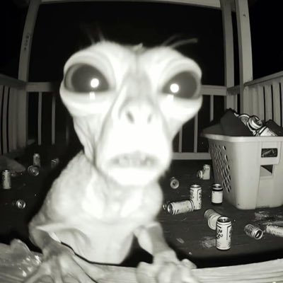 babylactose's profile picture. 