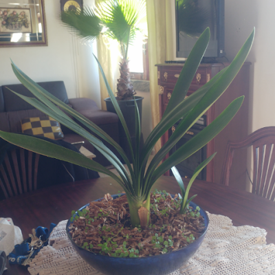 Filadelfia1000's profile picture. 