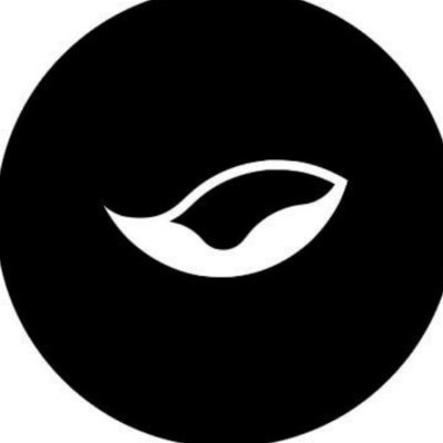 Orca Crypto Alpha