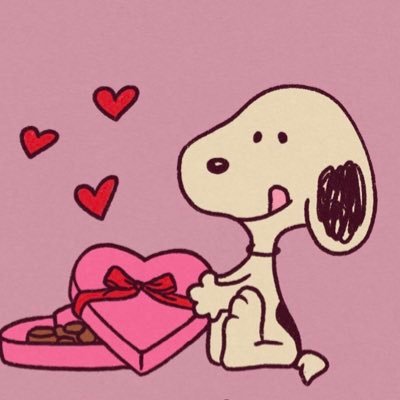 bilkmikkies's profile picture. 