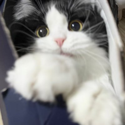 comixiogu1's profile picture. 