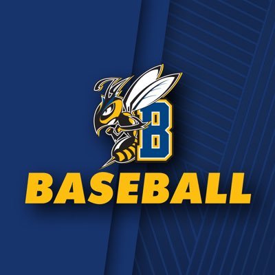 MSUB Baseball