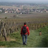 🇫🇷Dave Bombe✝️🇫🇷 (@dave_bombe) 's Twitter Profile