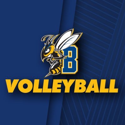 Official Twitter account of the MSUB women's volleyball team. @ncaadii Regionals 2006 Conference Champion 2006