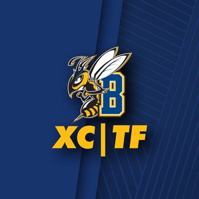 msubxctf Profile Picture