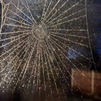 Jennifer Kingston (@jenkingcella) 's Twitter Profile