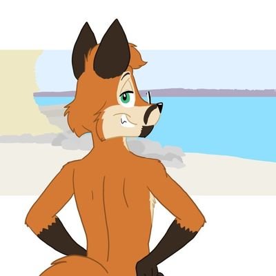 NitrofoxHD Profile Picture