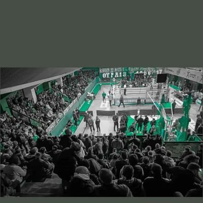 MihalisP13's profile picture. 