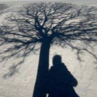 aslıhan koçak (@asllhankk) 's Twitter Profile