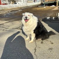 Dave (@ipickbadusrnmes) 's Twitter Profile