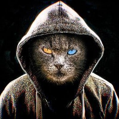 AIdataScience's profile picture. 