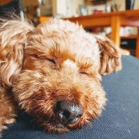 masa (@masa_ise) Twitter profile photo