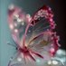 (Huda MH836949) (@haaa64556086) Twitter profile photo (Huda MH836949) (@haaa64556086) Twitter profile photo