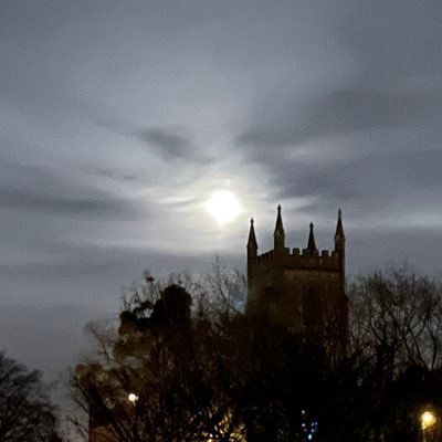 0Snapmap49440's profile picture. 