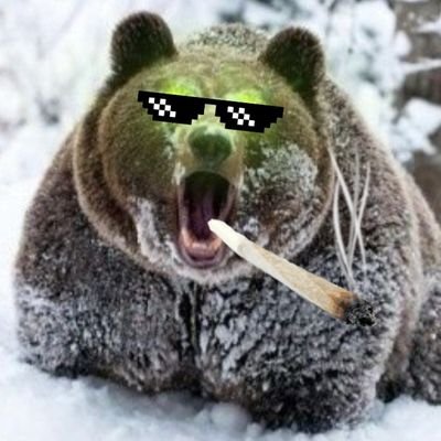 Behr_TedBear Profile Picture