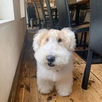 Sunshine (@deywantsunshine) 's Twitter Profile Photo