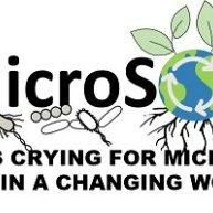 microSOS (@microsos_eu) 's Twitter Profile Photo microSOS (@microsos_eu) 's Twitter Profile Photo