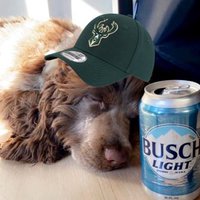 snanny (@snanny13) 's Twitter Profile