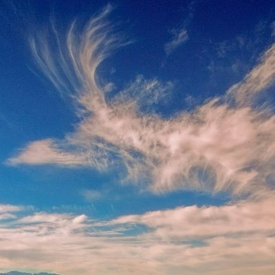 thiiermusic's profile picture. instrumental music - floating on guitar vibes mainly - stirring the imagination - evoking woolgathering mindscapes -