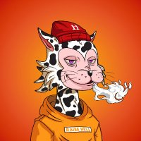 Thomas DEV (@thomasdevio) 's Twitter Profile