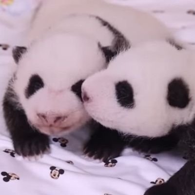 Smir3519's profile picture. 