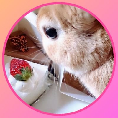モモスケ🐇さんのプロフィール画像