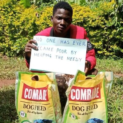 It's ibra dogs shelter we rescue dogs and feeding them we need your help and support may God bless you all 🦴🐕‍🦺🐕‍🦺🇺🇬🇺🇬