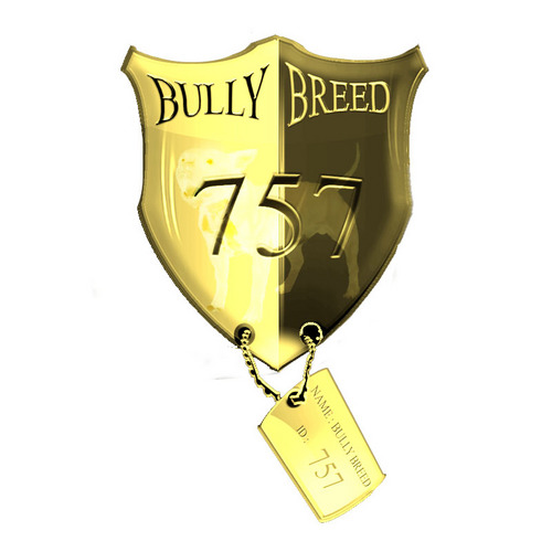 bullybreed757's profile picture. 