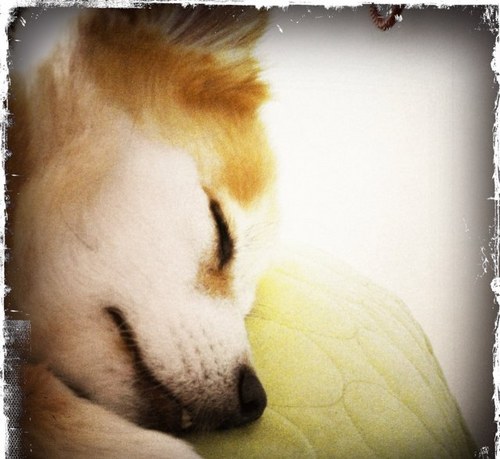 Candygirlnana's profile picture. Sneaker Addict, Gadget geek, Art Fanatic (just when I thought I was out, they pull me back in) Italian/Sicilian and proud.