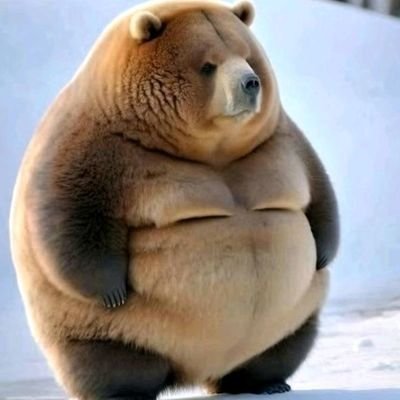 finitos_'s profile picture. 