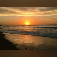 Bamba Manneh (@manneh_yam16945) 's Twitter Profile