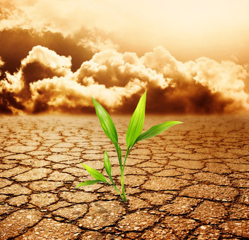 Featuring news about agriculture and the environment for everyone. Enjoy the tweets!