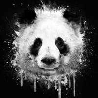 Albin Karlsson (@kurtaliz) 's Twitter Profile Photo