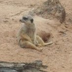 Santi_1782's profile picture. Publico memes y contesto algunas cosas. Leo bastante, no me pidan mas de eso que me mareo