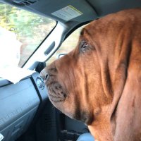 009515 (@kimpdog1) 's Twitter Profile Photo 009515 (@kimpdog1) 's Twitter Profile Photo